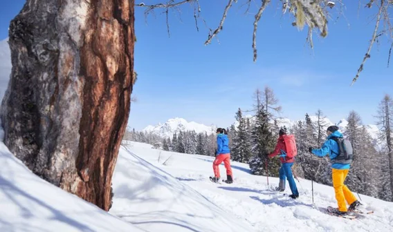 Schneeschuhwanderung am Sonnenplateau Mieming in Tirol. Schöne Ferienwohnungen in Tirol mit Sauna.