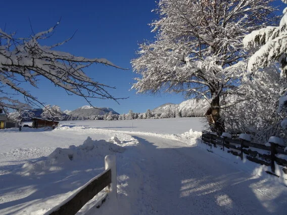 Winterurlaub in Tirol im Adlerhof am Sonnenplateau genießen 80 km geräumte Winterwanderwege, direkt ab dem Adlerhof, über das ganze Mieminger Plateau. Das Sonnenplateau Mieming mit den meisten Sonnenstunden in den Bergen ist der ideale Ausgangspunkt für Skifahrer, Langläufer und Winterwanderer.