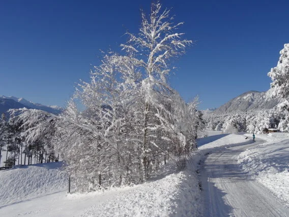 Unterkunft mit Sauna in Tirol - Adlerhof in Mieming 80 km geräumte Winterwanderwege über das ganze Mieminger Plateau. Das Sonnenplateau Mieming mit den meisten Sonnenstunden in den Bergen ist der ideale Ausgangspunkt für Skifahrer, Langläufer und Winterwanderer.