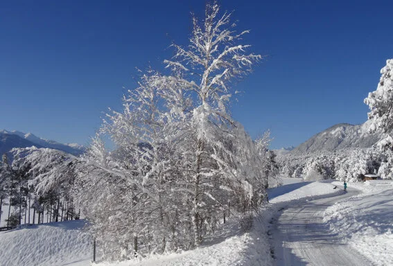 Winterurlaub in Mieming im Adlerhof Apartment 80 km geräumte Winterwanderwege über das ganze Mieminger Plateau. Das Sonnenplateau Mieming mit den meisten Sonnenstunden in den Bergen ist der ideale Ausgangspunkt für Skifahrer, Langläufer und Winterwanderer.