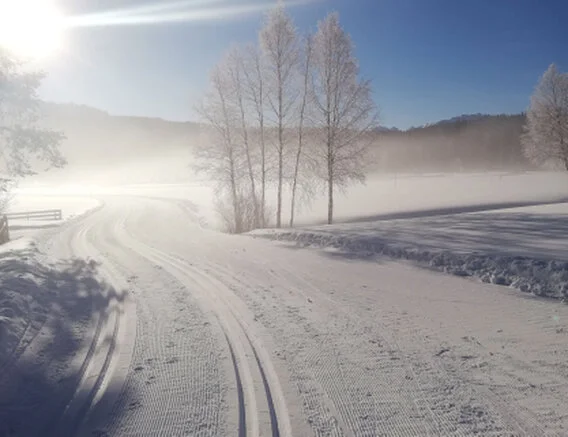 Langlaufen in Tirol direkt ab Haus in Leutasch und Seefeld Am Mieminger Plateau finden Sie viele Langlaufloipen mit allen Schwierigkeitsgraden.