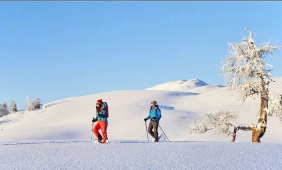 Schneeschuhwandern am Mieminger Plateau Schneeschuhwanderung am Sonnenplateau Mieming in Tirol. Schöne Ferienwohnungen in Tirol mit Sauna.